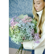 Гипсофила 9шт