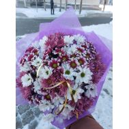 Хризантемы микс.15 шт