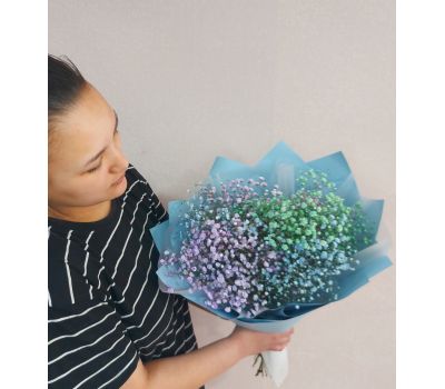 Гипсофила 5шт