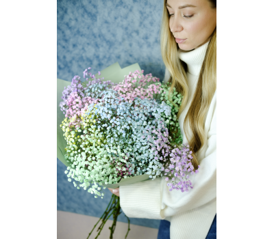 Гипсофила 9шт